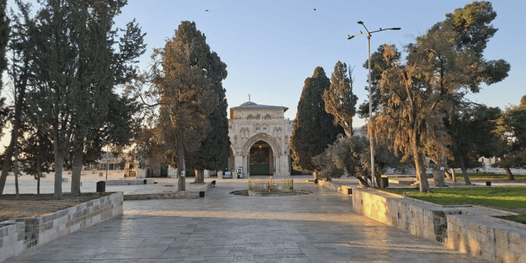 Peluncuran Kampanye Digital untuk Buka Masjid Al-Aqsa