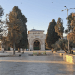 Peluncuran Kampanye Digital untuk Buka Masjid Al-Aqsa