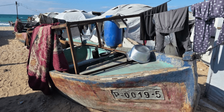 Warga Palestina Pertaruhkan Nyawa untuk Menangkap Ikan di Laut Gaza