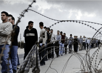 74 Pekerja Palestina Terbunuh di Tengah Krisis Kerja