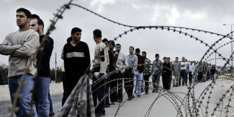 74 Pekerja Palestina Terbunuh di Tengah Krisis Kerja