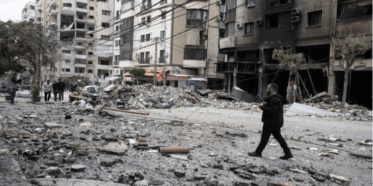 Krisis Lingkungan Gaza Memburuk, Hama dan Penyakit Ancam Warga