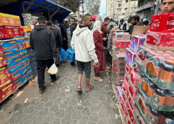 Pejabat Gaza: Bantuan Tak Tepat Sasaran, Bayi Terancam Tanpa Listrik