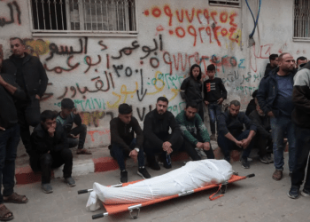 Serangan Berlanjut, 8 Warga Gaza Terbunuh di Tengah Krisis Bantuan