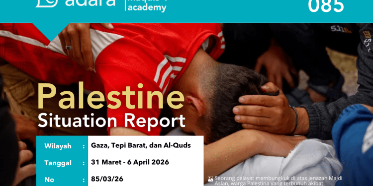 Adara Palestine Situation Report 85
