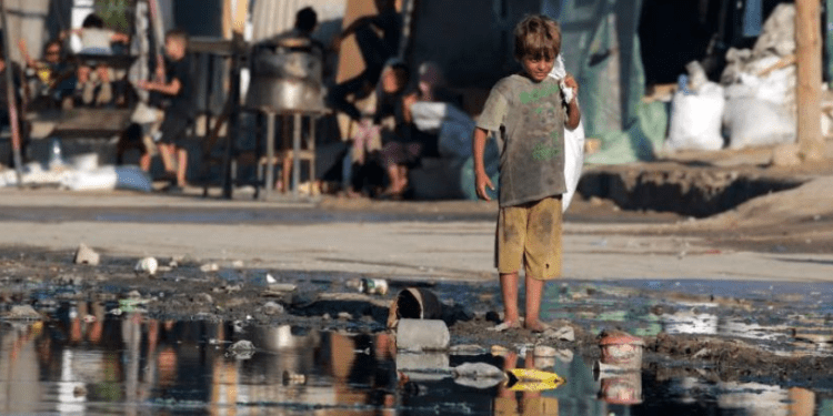 WHO: 17.000 Infeksi Pengungsi Gaza akibat Hama