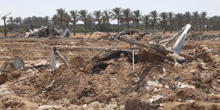 86 Persen Lahan Pertanian Gaza Rusak