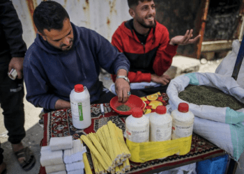 Bantuan Gaza Turun Drastis