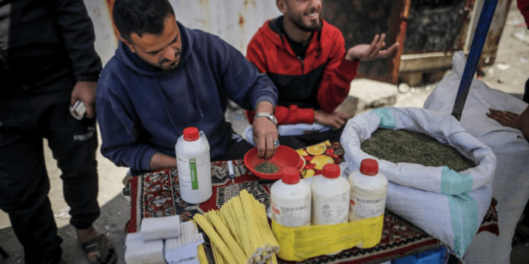 Bantuan Gaza Turun Drastis