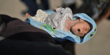 1.701 Bayi Lahir di Gaza pada Mei 2026 di Tengah Genosida dan Krisis Kemanusiaan yang Berlanjut