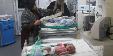 Angka Keguguran di Gaza Capai 460 per 1.000 Kelahiran, Tiga Kali Lipat Rata-Rata Dunia