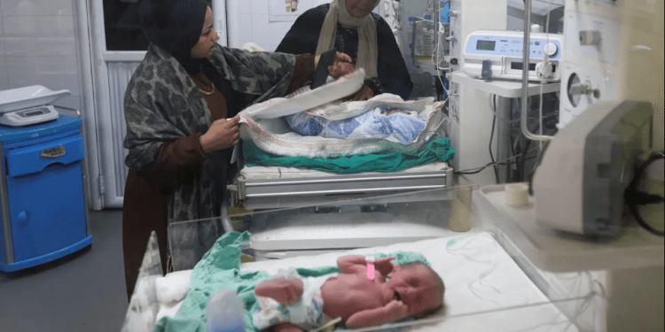 Angka Keguguran di Gaza Capai 460 per 1.000 Kelahiran, Tiga Kali Lipat Rata-Rata Dunia