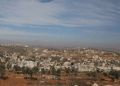 Israel Menyita 30 Hektar Lahan Palestina
