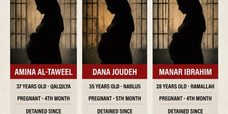 Kelompok HAM Palestina Desak Pembebasan Tiga Perempuan Hamil yang Ditahan Israel