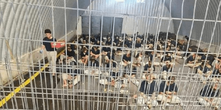 Seruan ke WHO: Selamatkan Tawanan Palestina dari Wabah Kudis