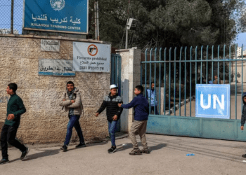 Israel Serbu Pusat Pelatihan UNRWA di Al-Quds, 250 Siswa Terancam