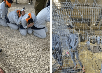 Jadi Korban Penyiksaan, Kondisi Dokter Palestina Terus Memburuk di Penjara Israel