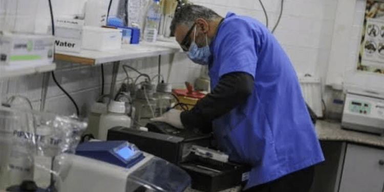 Laboratorium Gaza Terancam Lumpuh Total