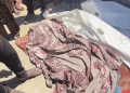 Tim Penyelamat Gaza Temukan Jenazah 99 Warga Palestina di Reruntuhan