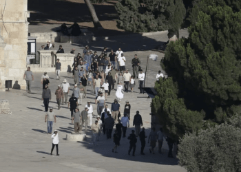584 Pemukim Israel Serbu Kompleks Masjid Al-Aqsa