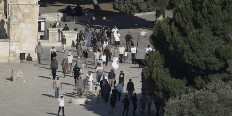 584 Pemukim Israel Serbu Kompleks Masjid Al-Aqsa