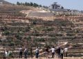 Tiga Keluarga Palestina Terjebak dalam Kepungan Teror Tanpa Air dan Makanan di Qusra