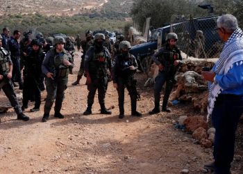 23 Serangan Israel Sasar Petani Palestina saat Musim Panen Zaitun di Tepi Barat