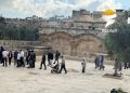 Peringatan Ancaman terhadap Al-Aqsa Akibat Rencana Serbuan Sabtu