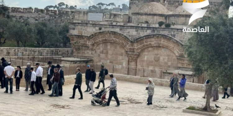 Peringatan Ancaman terhadap Al-Aqsa Akibat Rencana Serbuan Sabtu